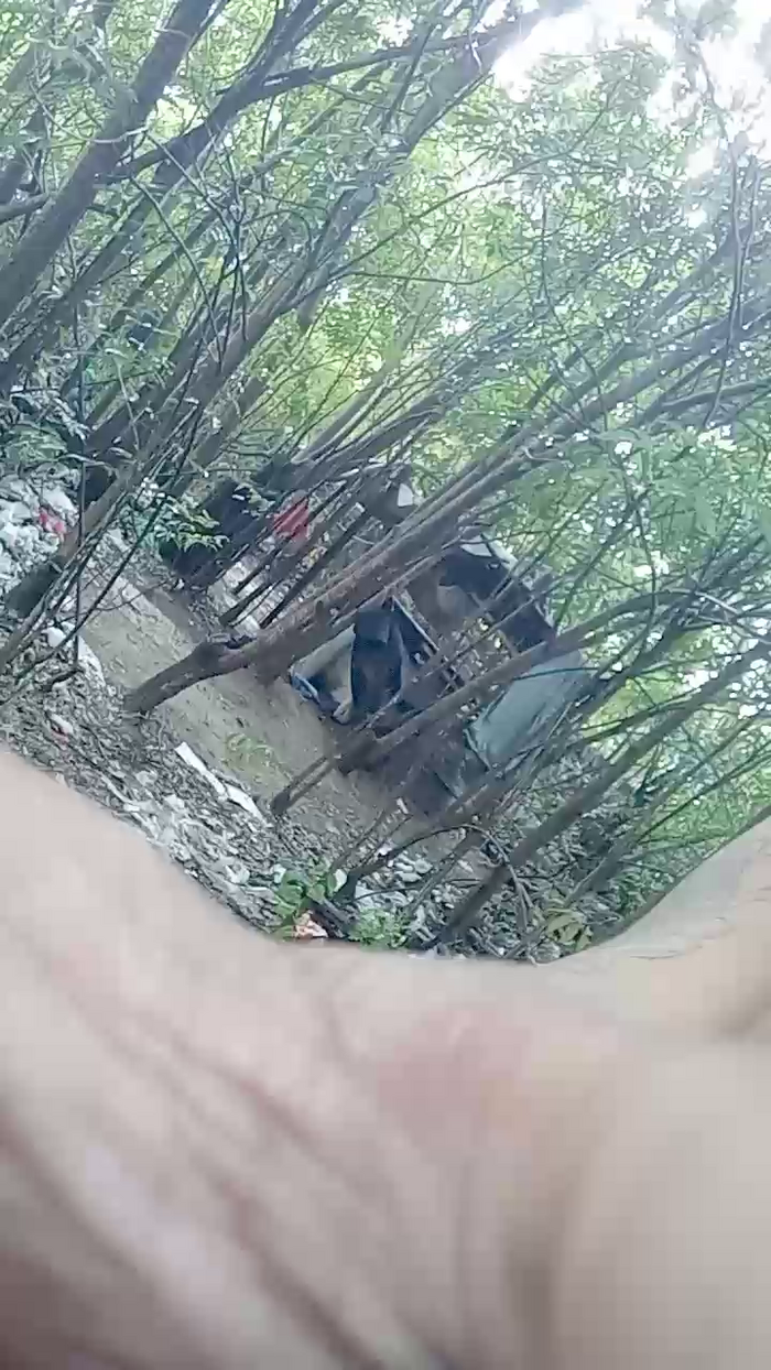 Neto_tezudu
