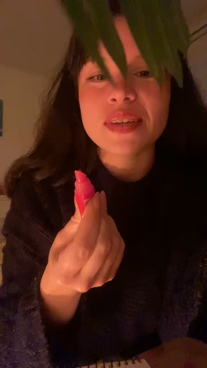 PrincessTomy