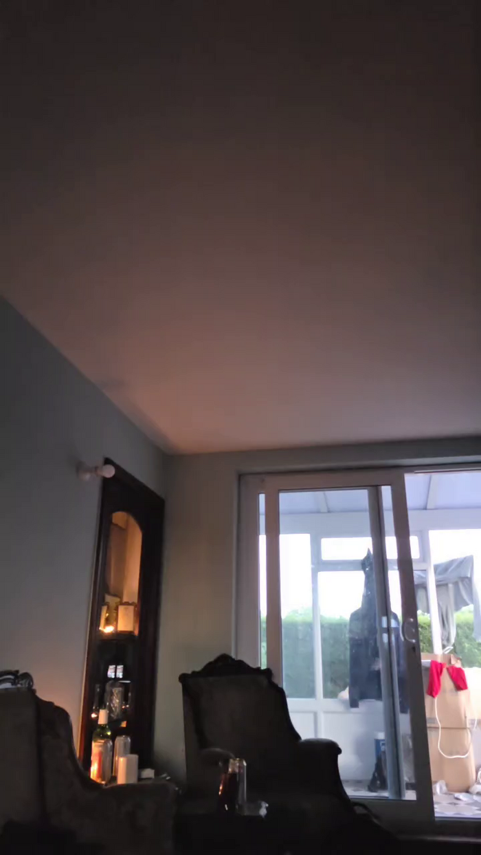 Chavbear