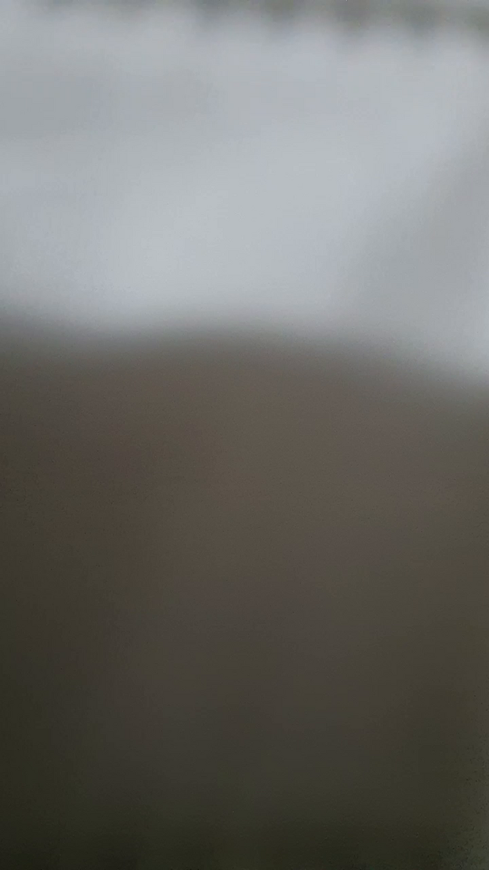 scopata69