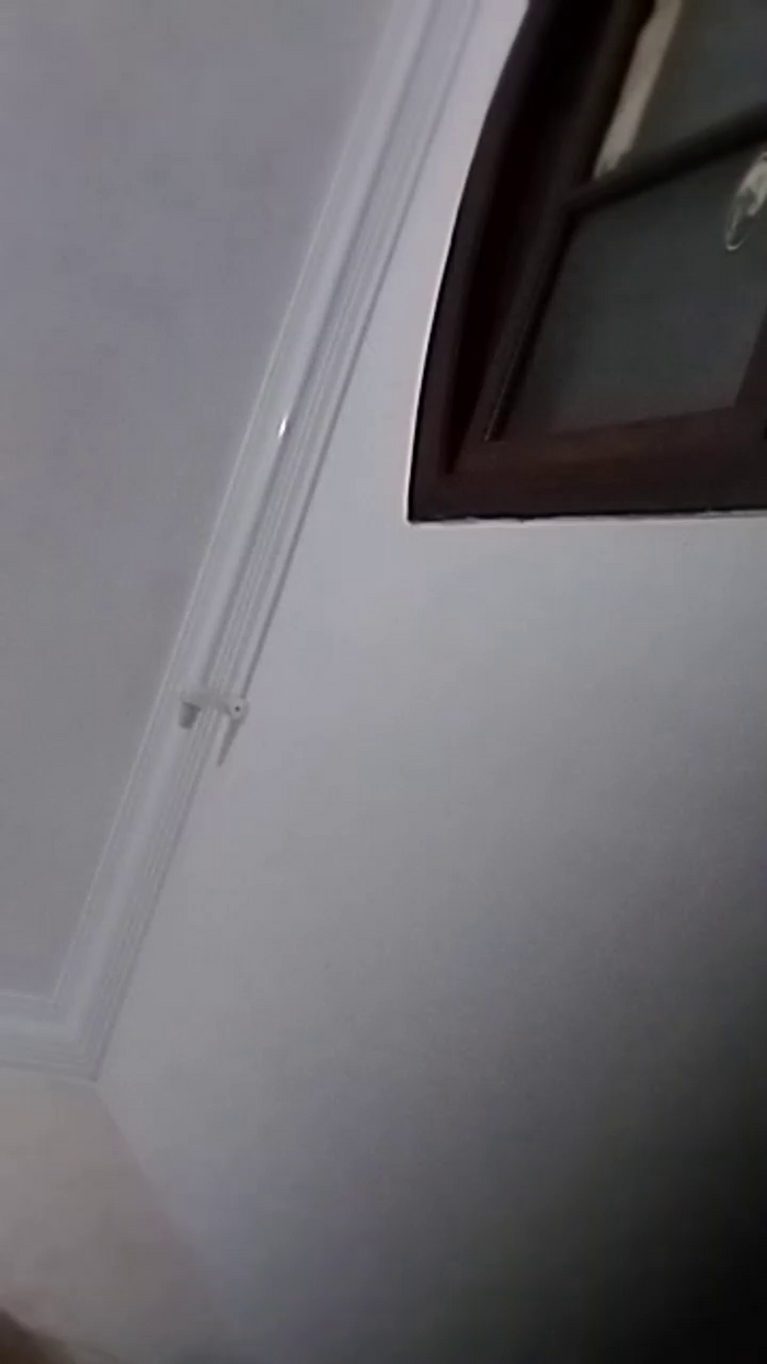 Sininho8