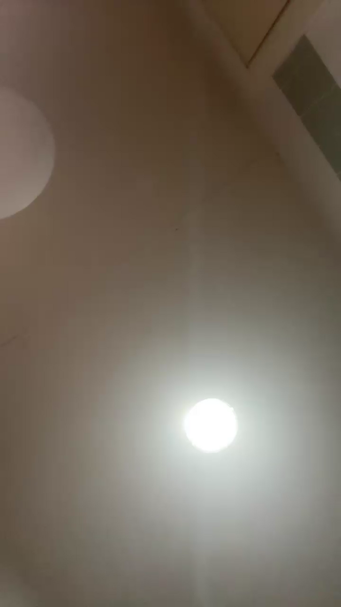 Pollon29_cm