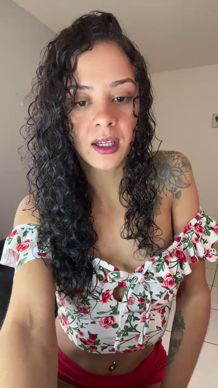 Gatinha2025