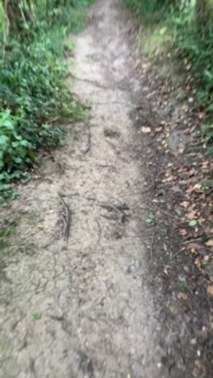 Outandabout