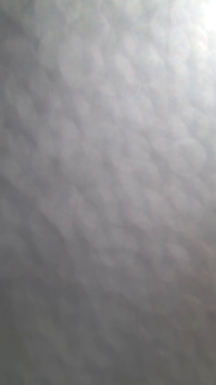 Tania__honey