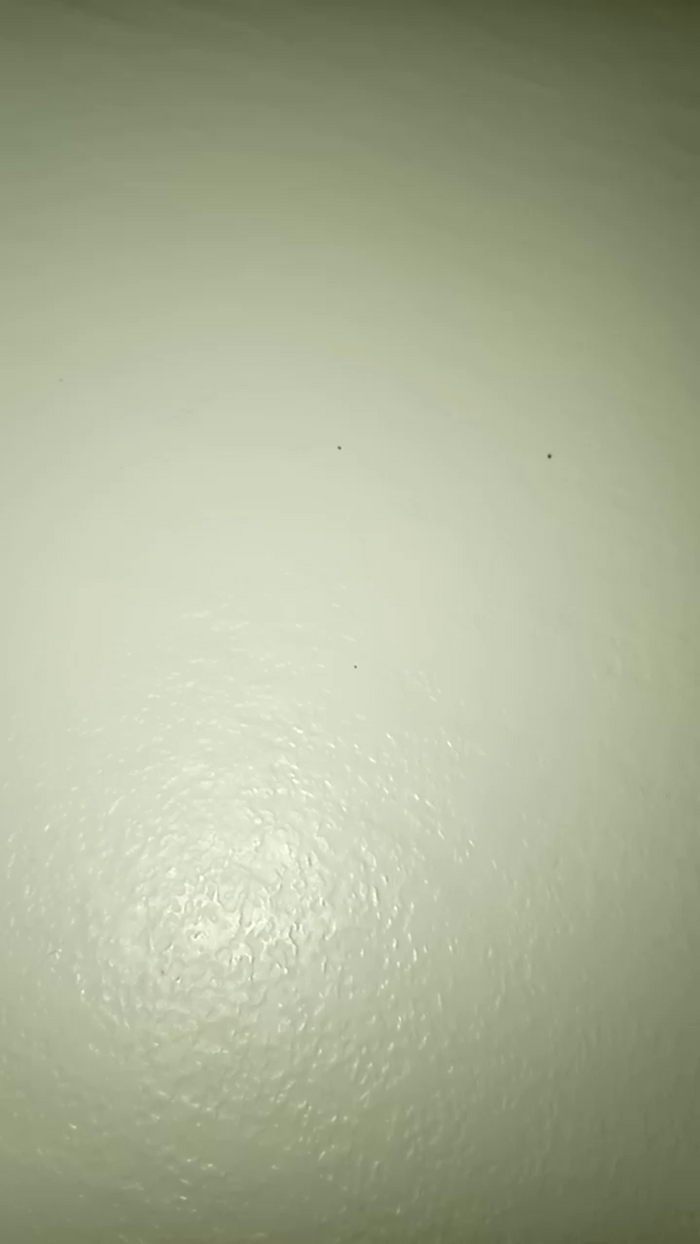 Cassandra64