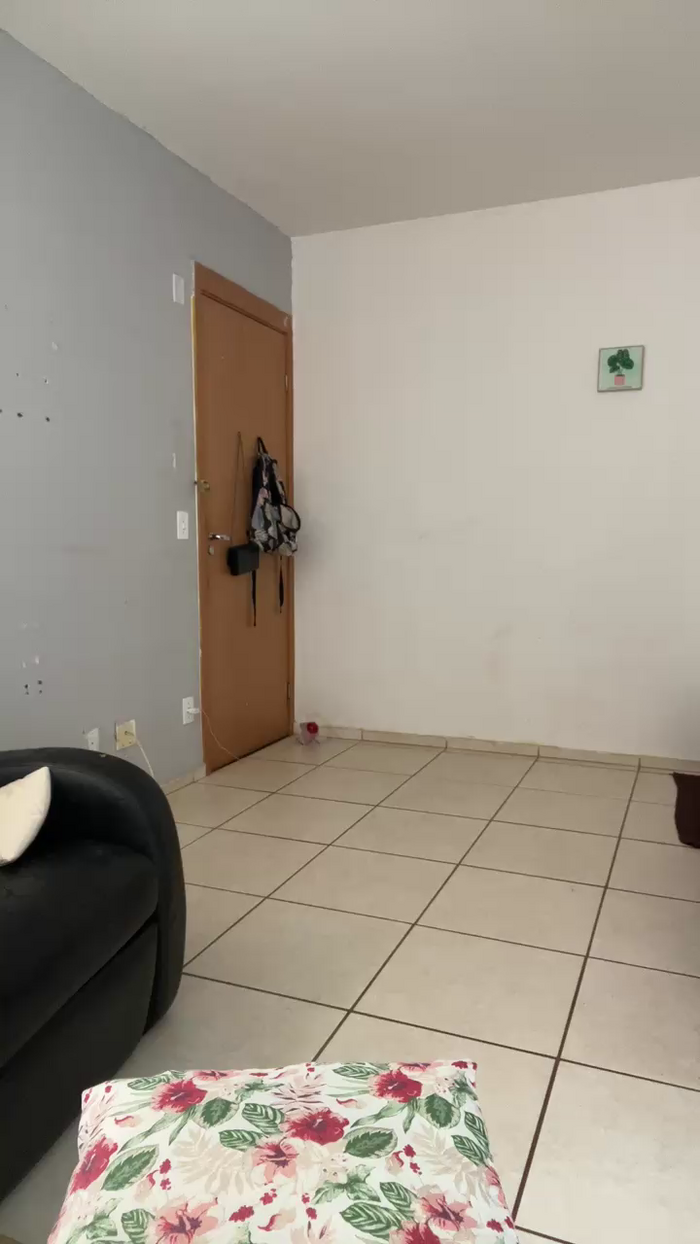 Gatinha2025