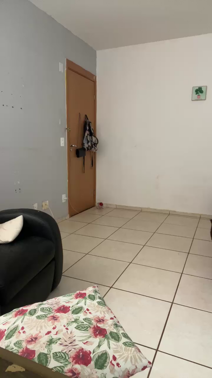 Gatinha2025