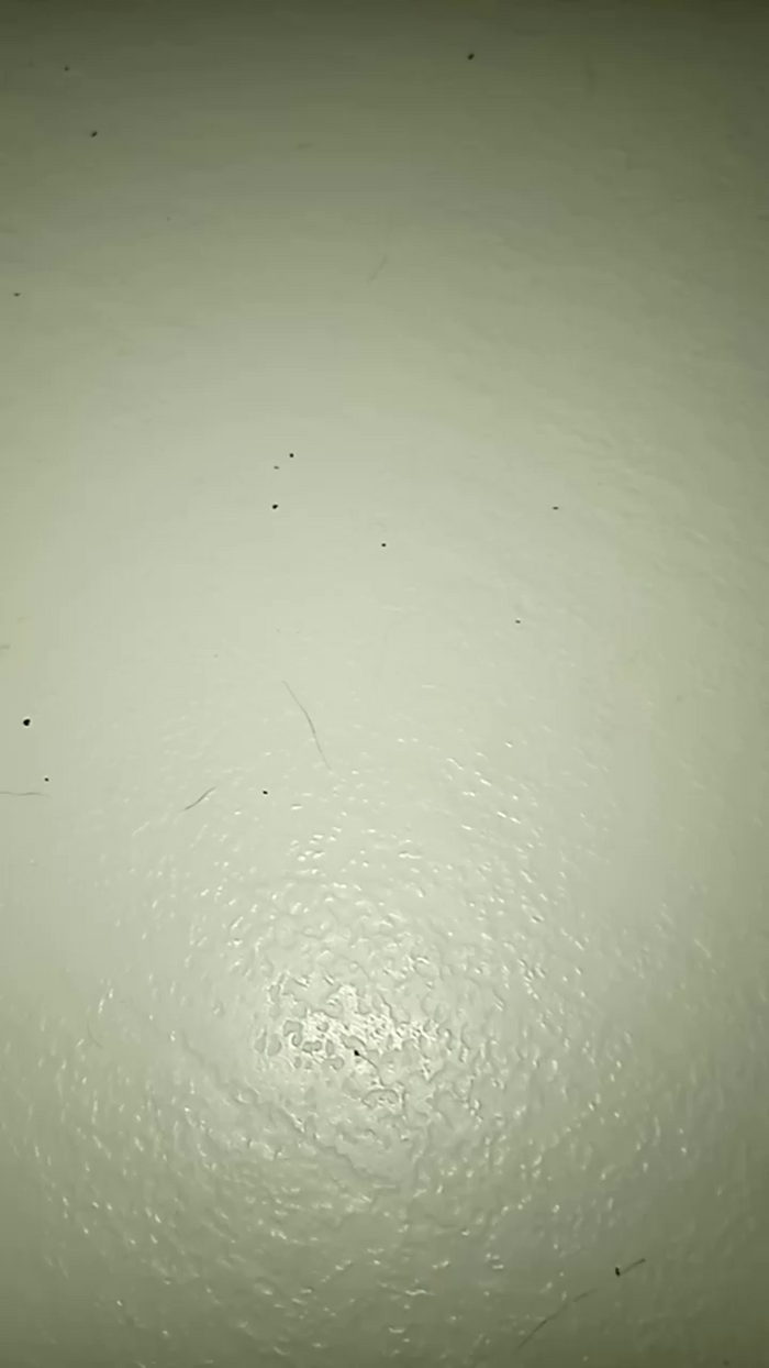 Cassandra64