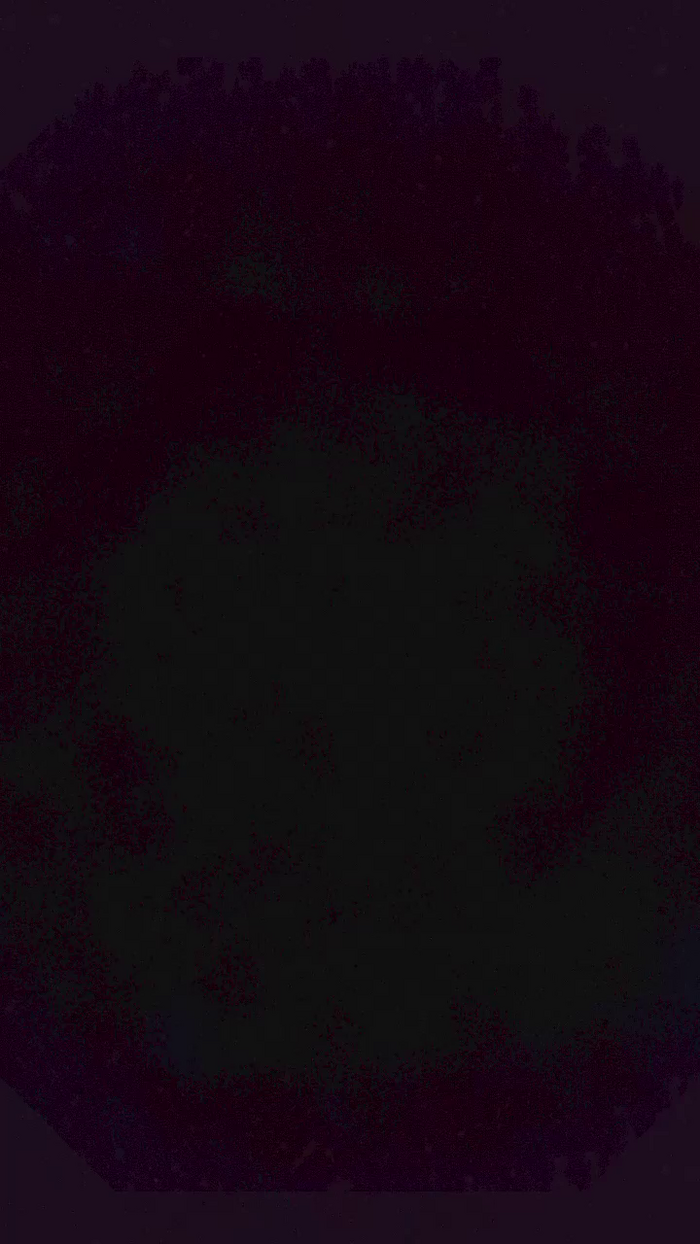 CouplefireBA7