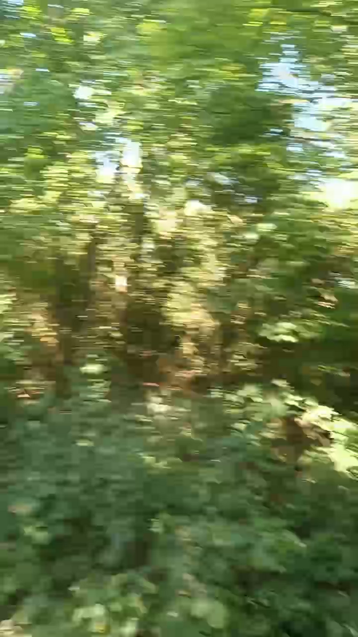 fulibal