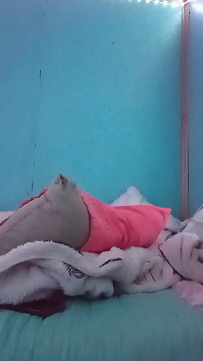 TuFavoritaa