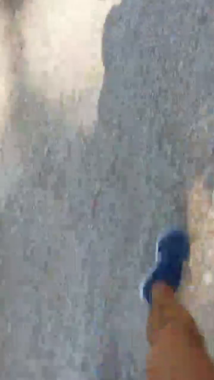 stefan519