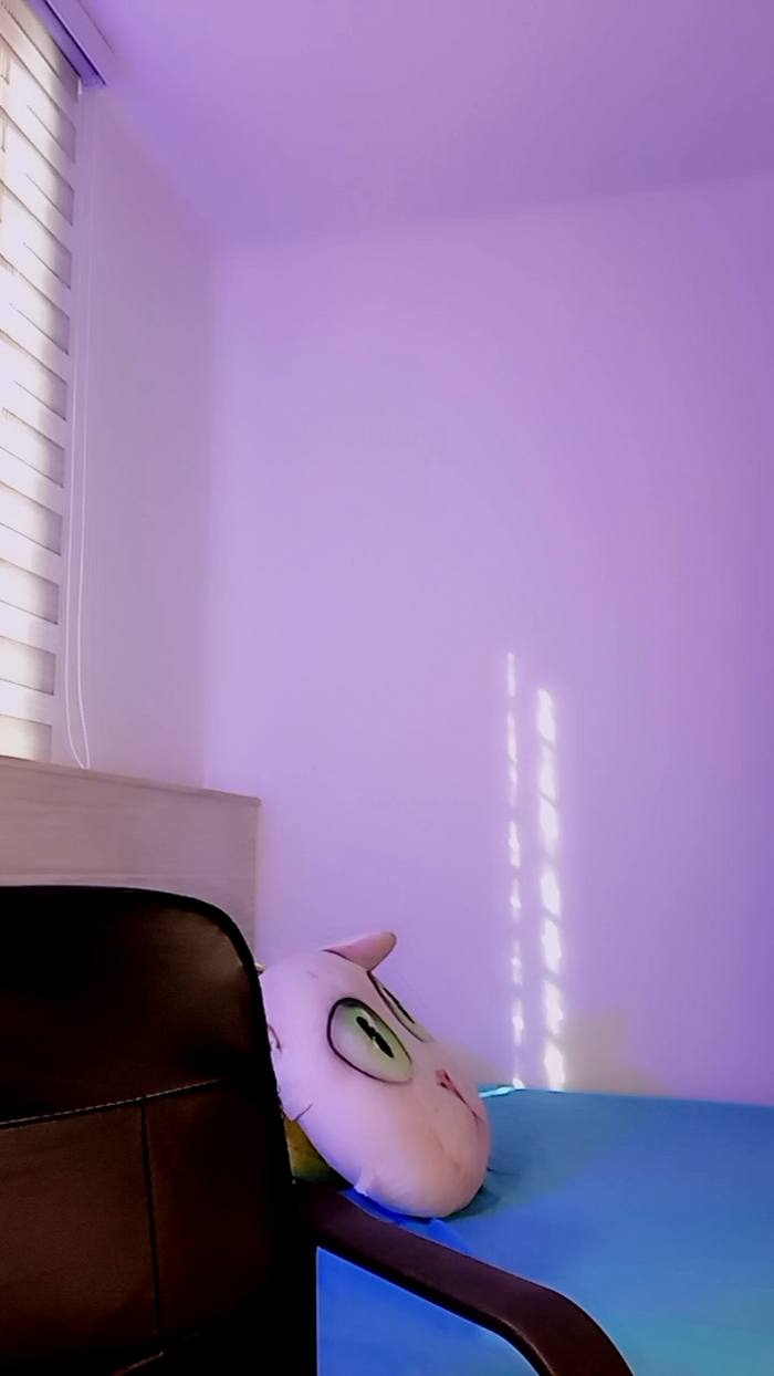 MonyCat_