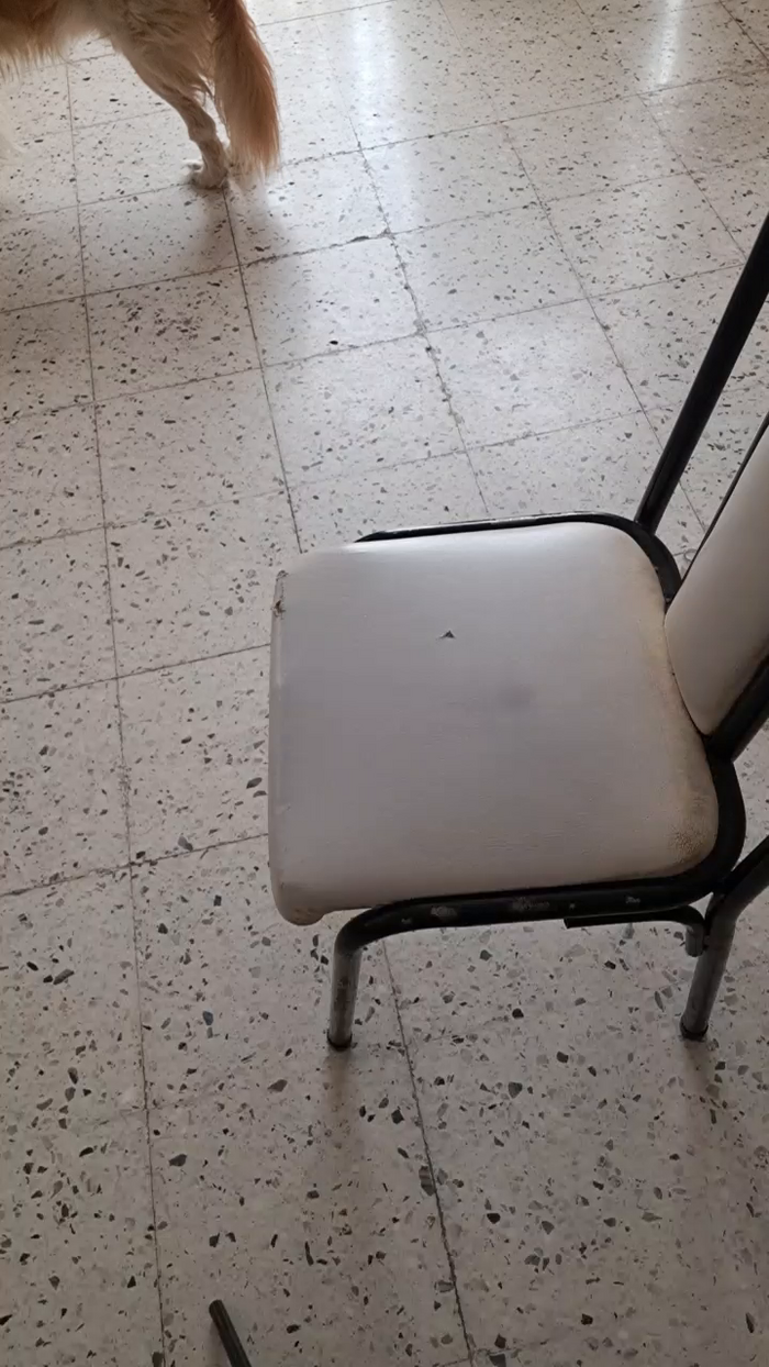 LuzCamaraAccion