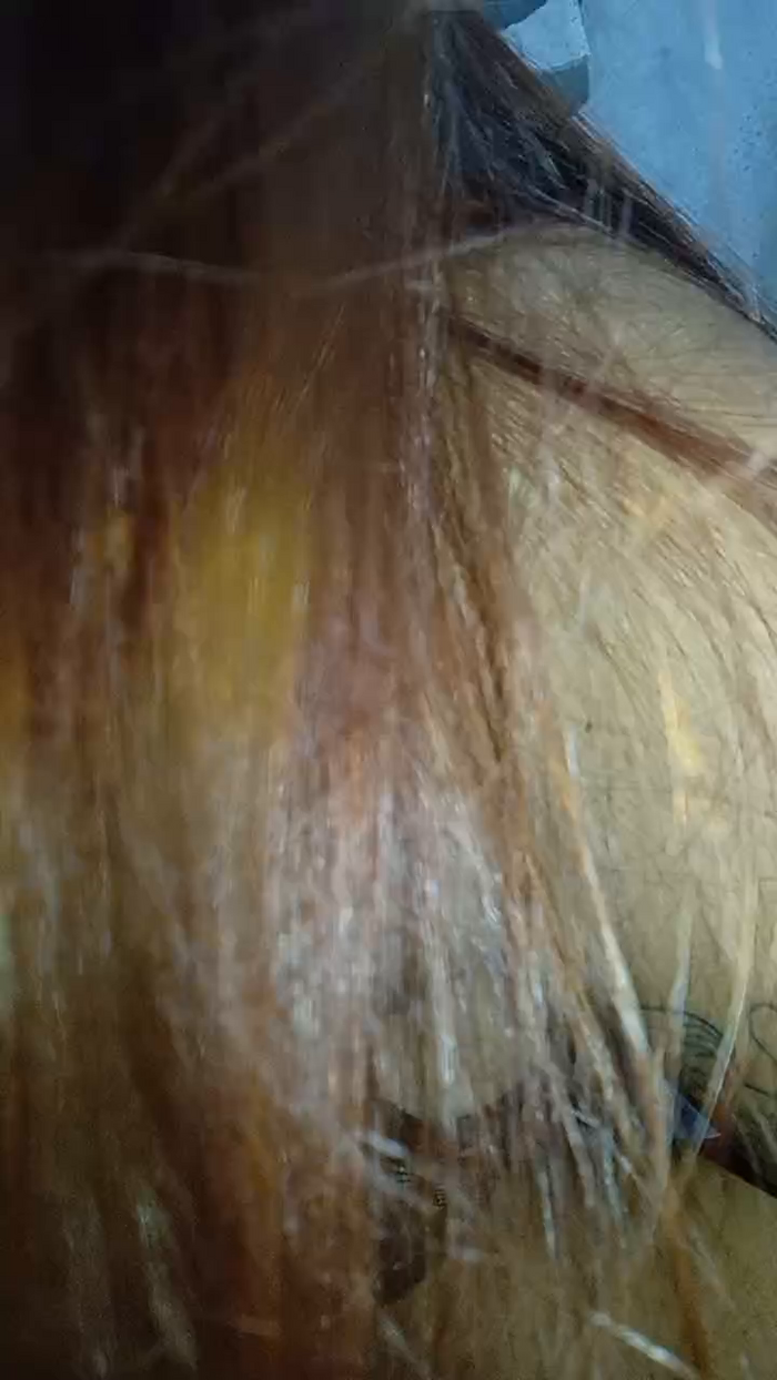 Camix18