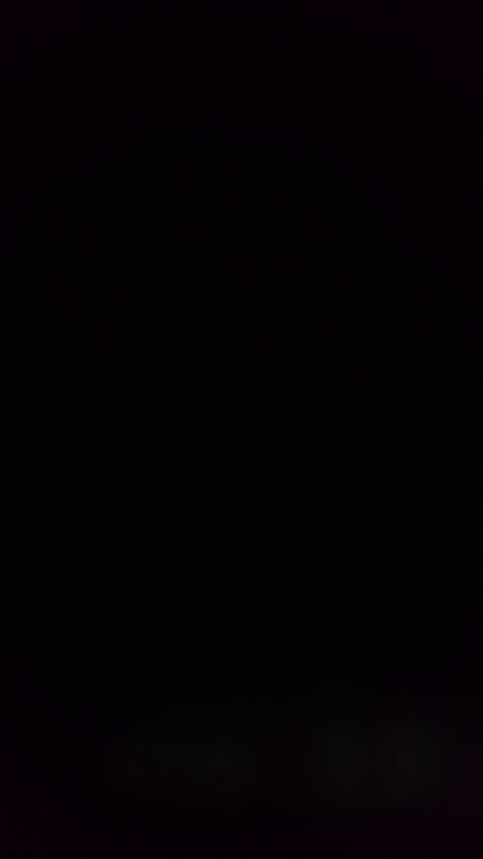 veronica239