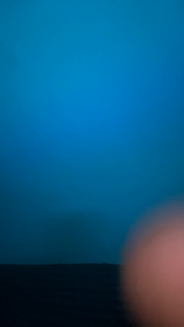Vanessalorenzo