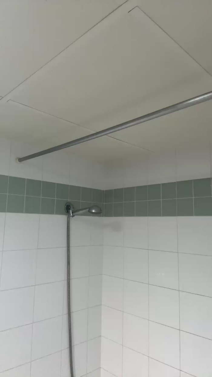 Pollon29_cm