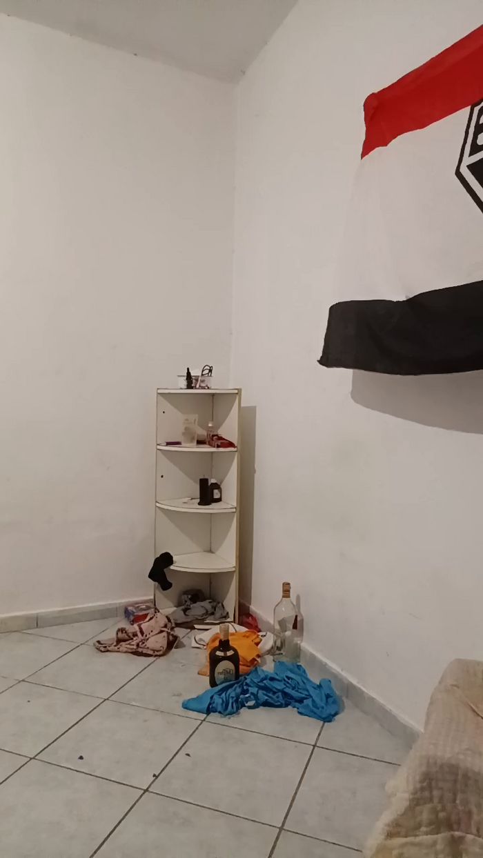 Aieloucura