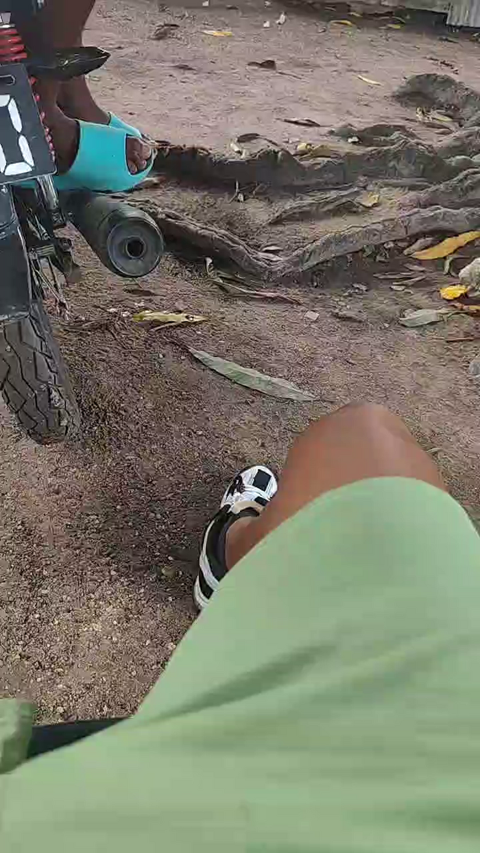 Papiyoungpig