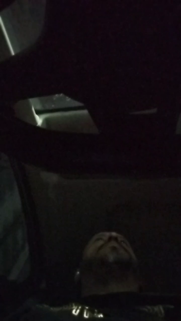 jhonnybravo19