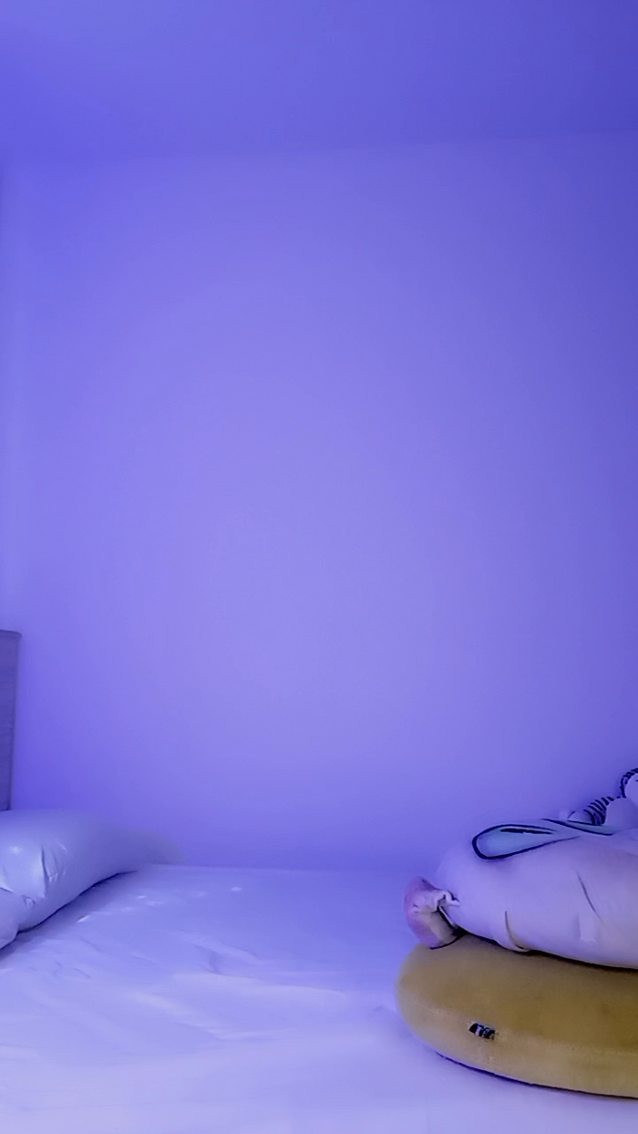 MonyCat_