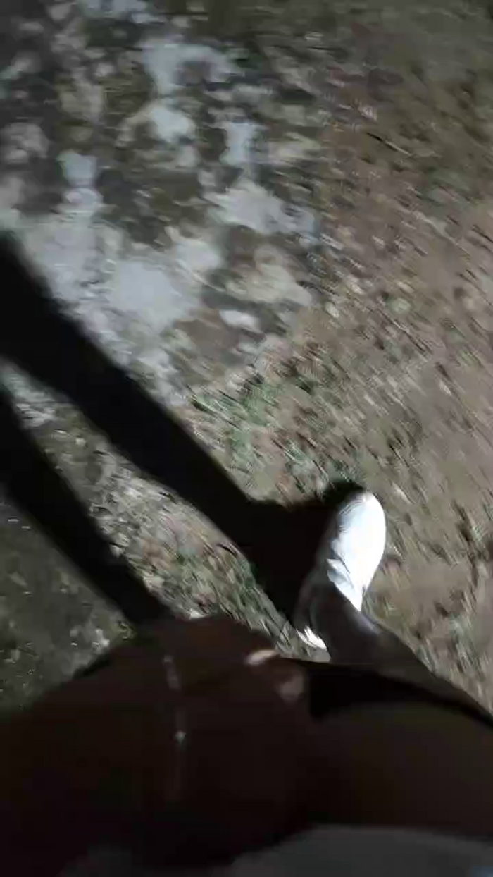 Papiyoungpig