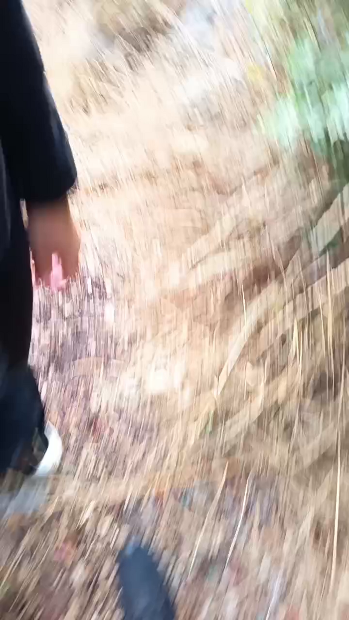 milferotika