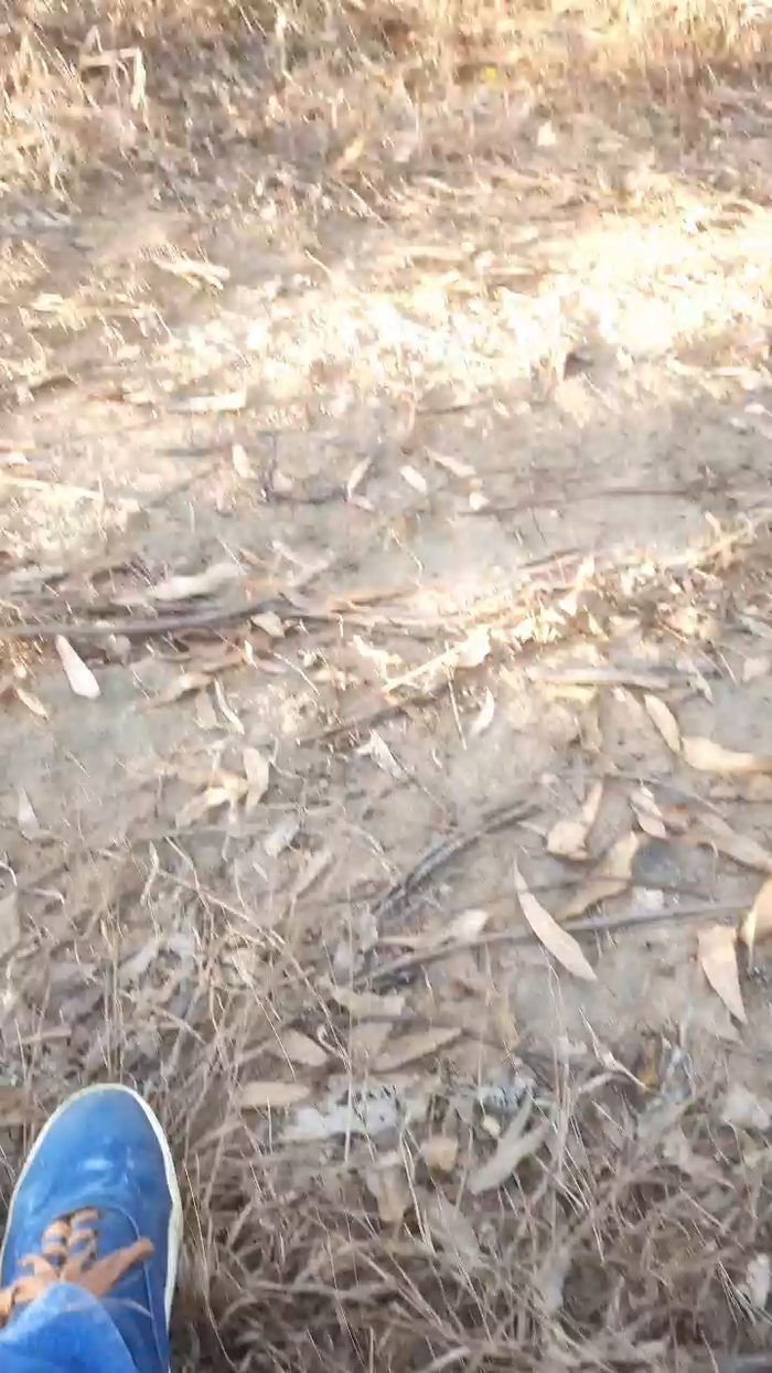 Gabriel_vale98
