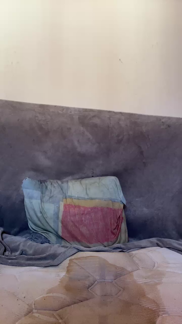 maarion_eladi1