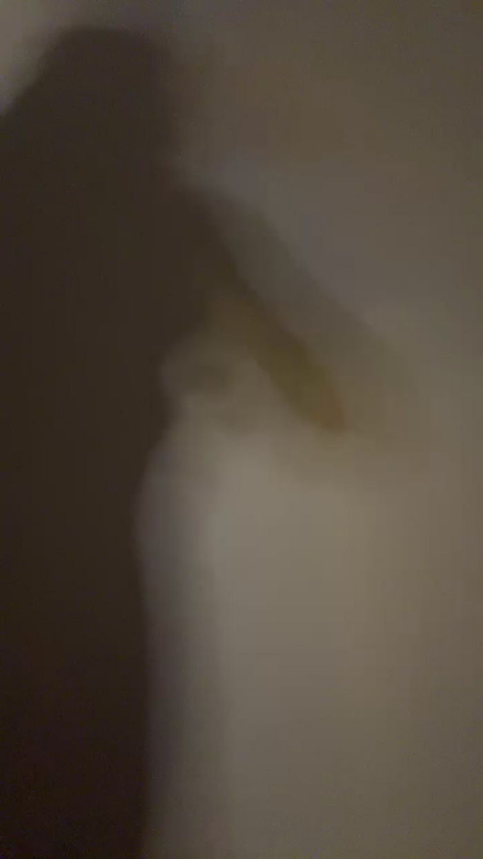 Daio_lop