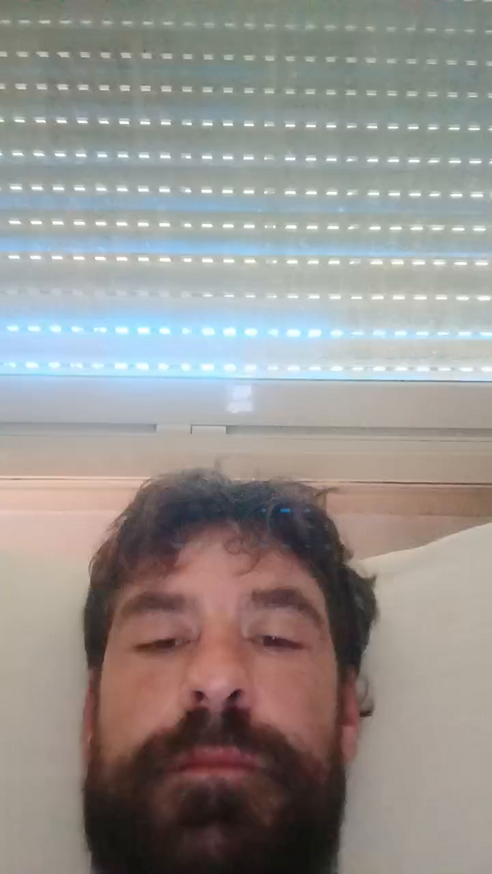 Giebi2