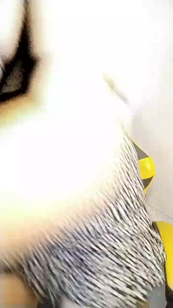 Feliblue