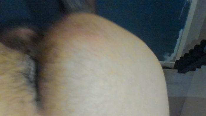 leondevereda