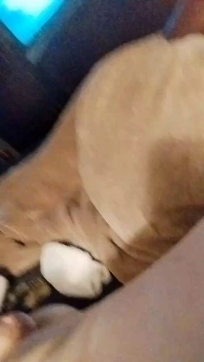 Fuqmeovrplz