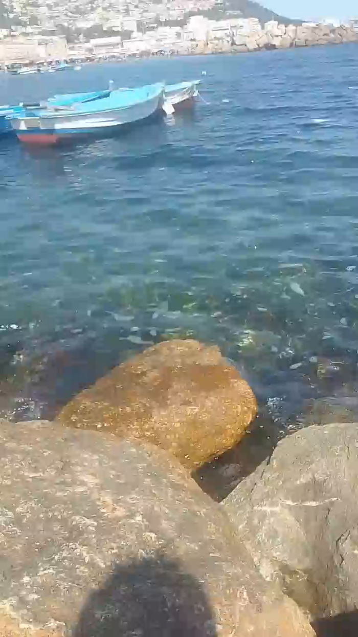 hardzfucker