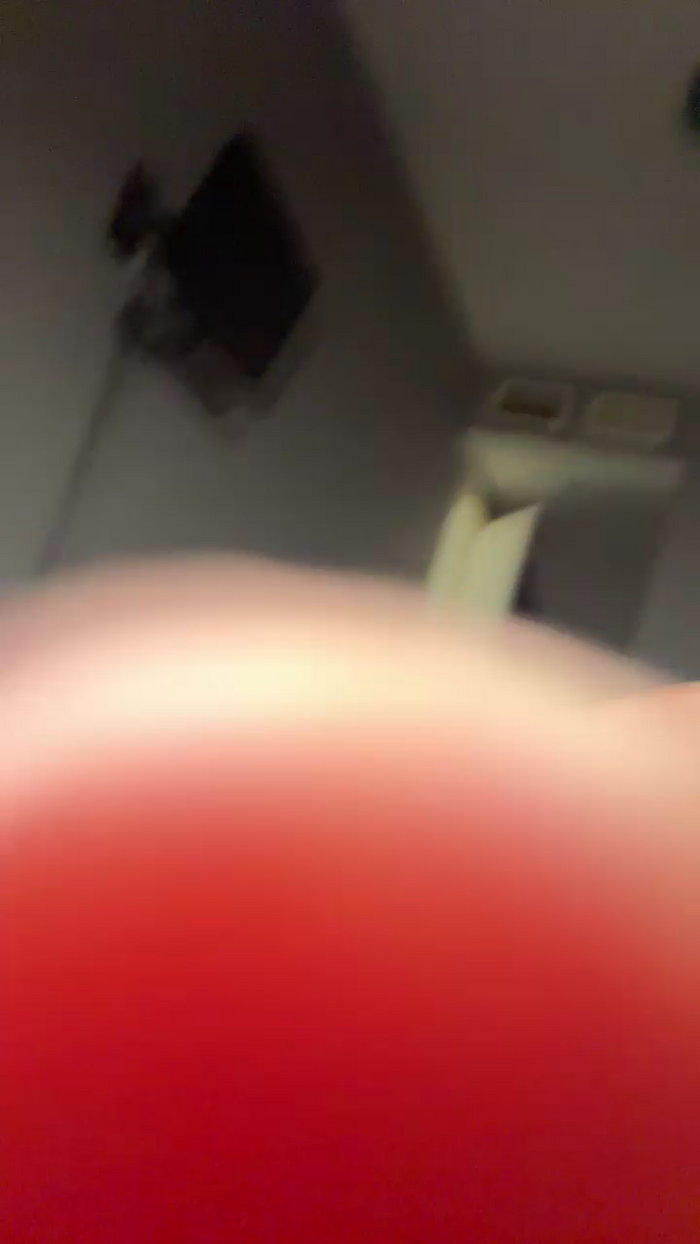 Pollon29_cm