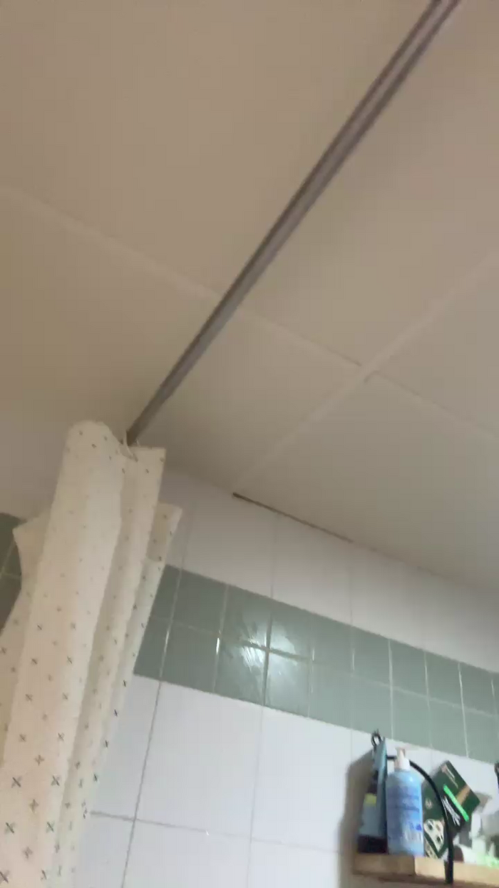 Pollon29_cm