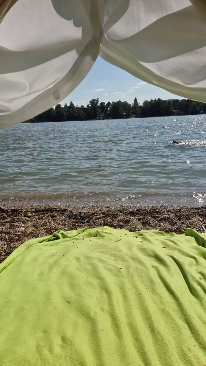 viraglaci18