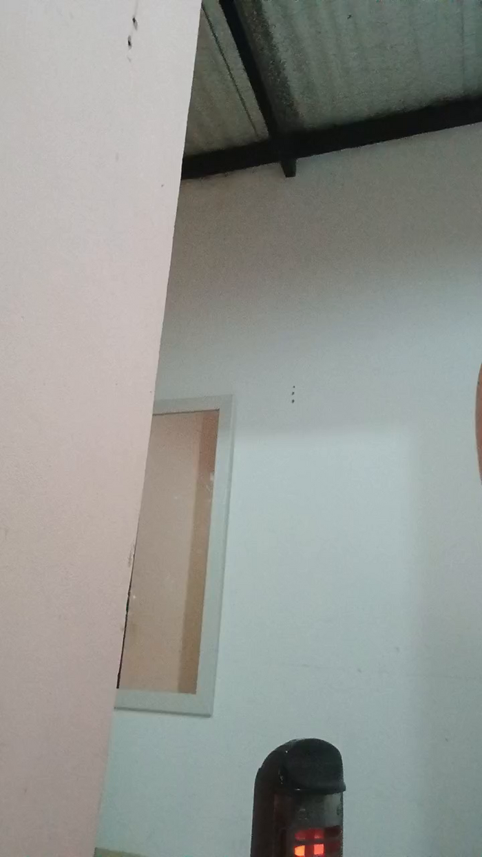 Floppy19