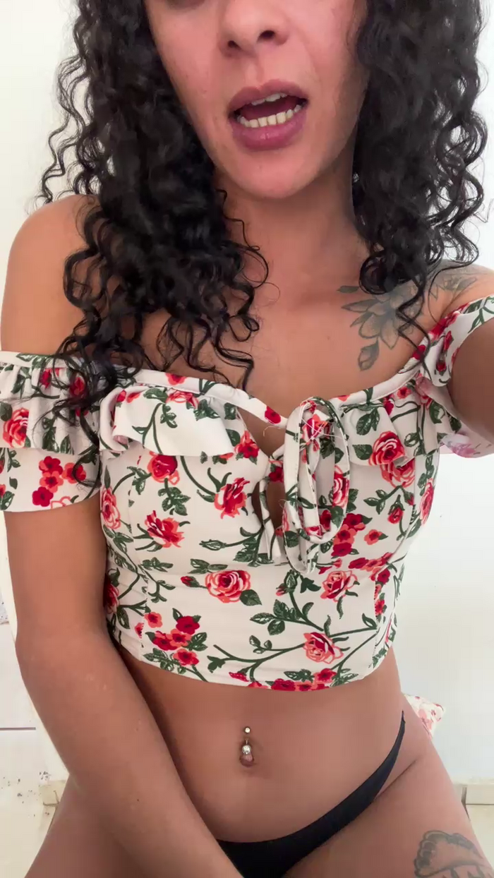 Gatinha2025