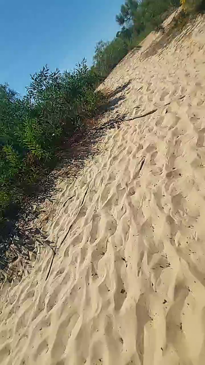 Horny_cruising