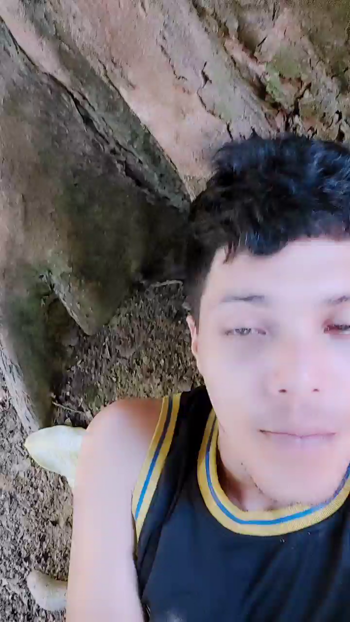 Hanz766