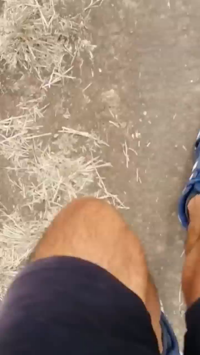 stefan519