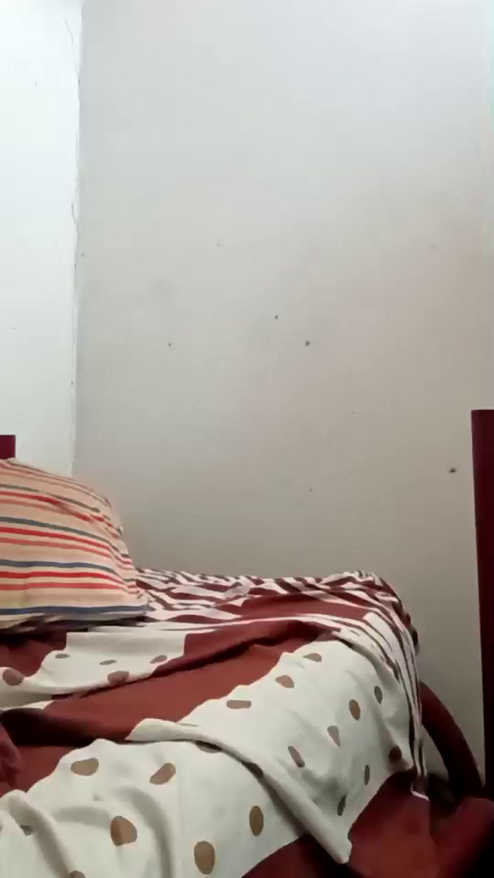 Oneballx