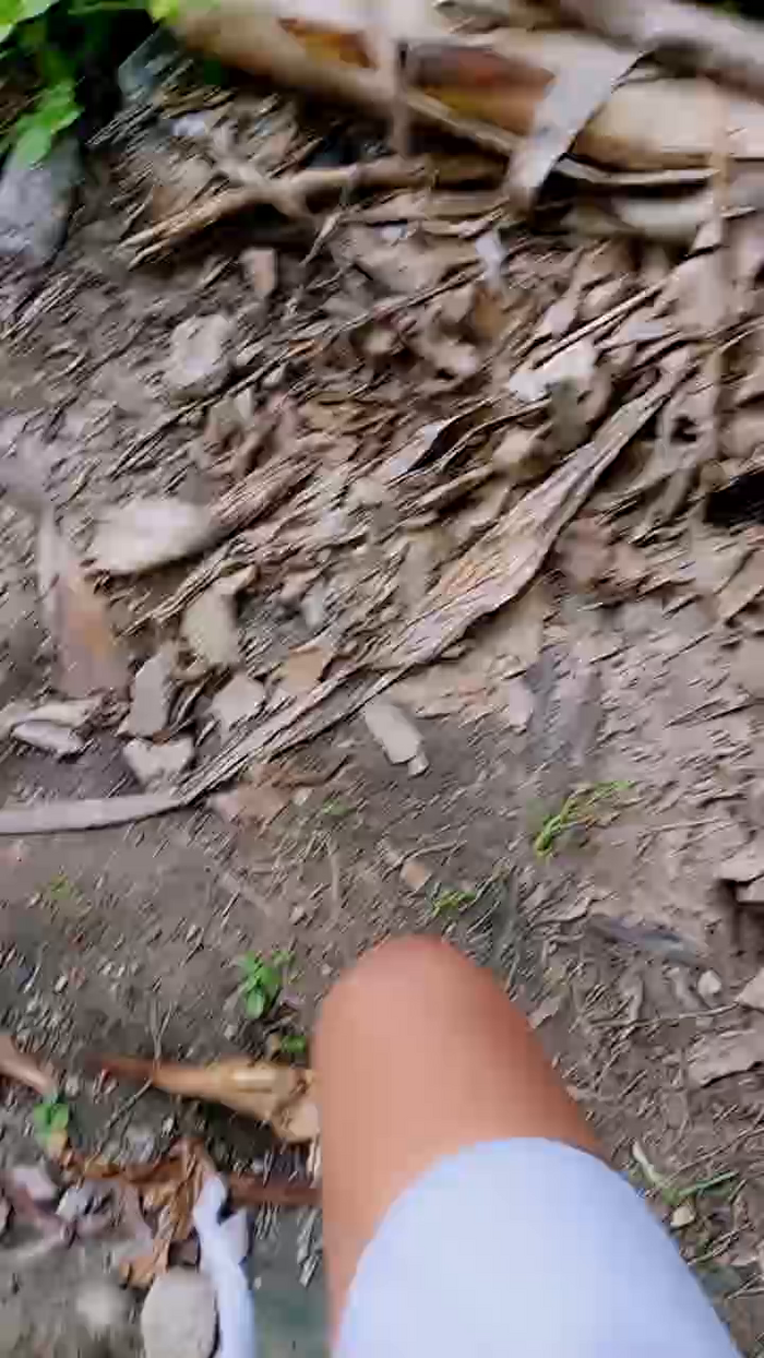 Scarlett_pee