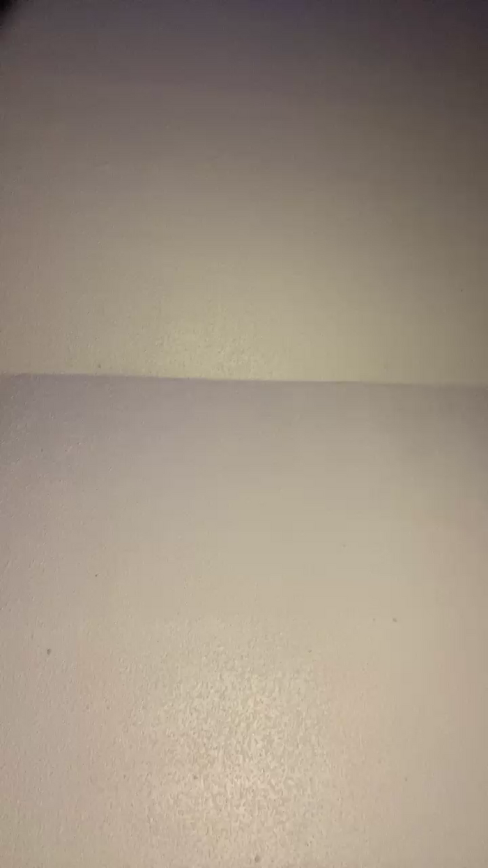 Babi_lu22