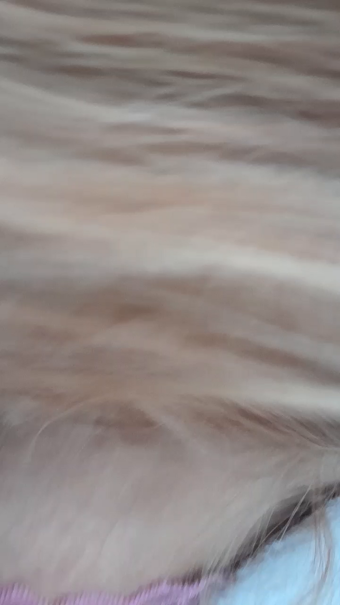 leticinhababy