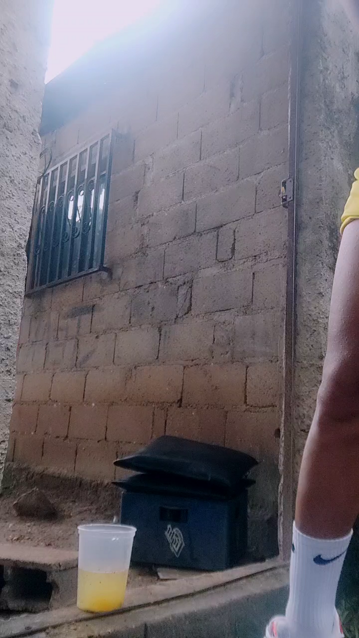 Papiyoungpig